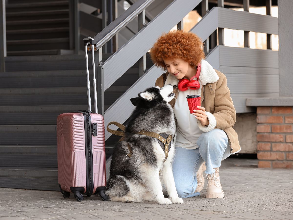 viajar a peru con mascotas