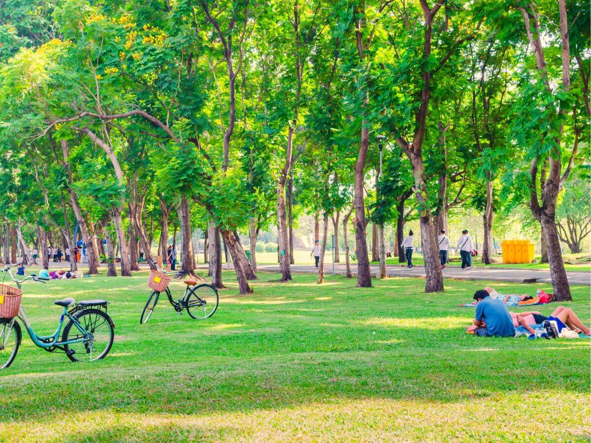 personas haciendo actividades recreativas al aire libre