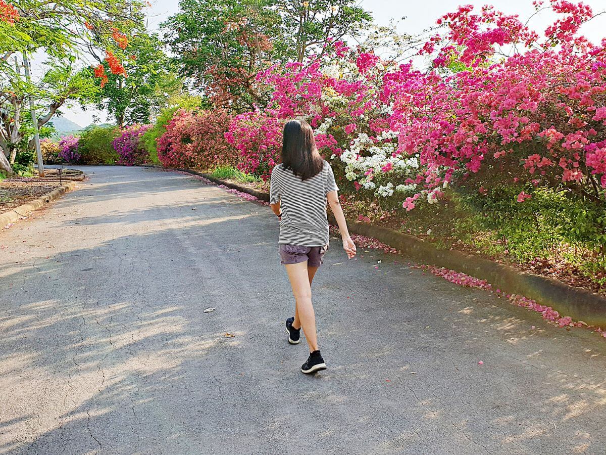 rutina de cuidado personal diario