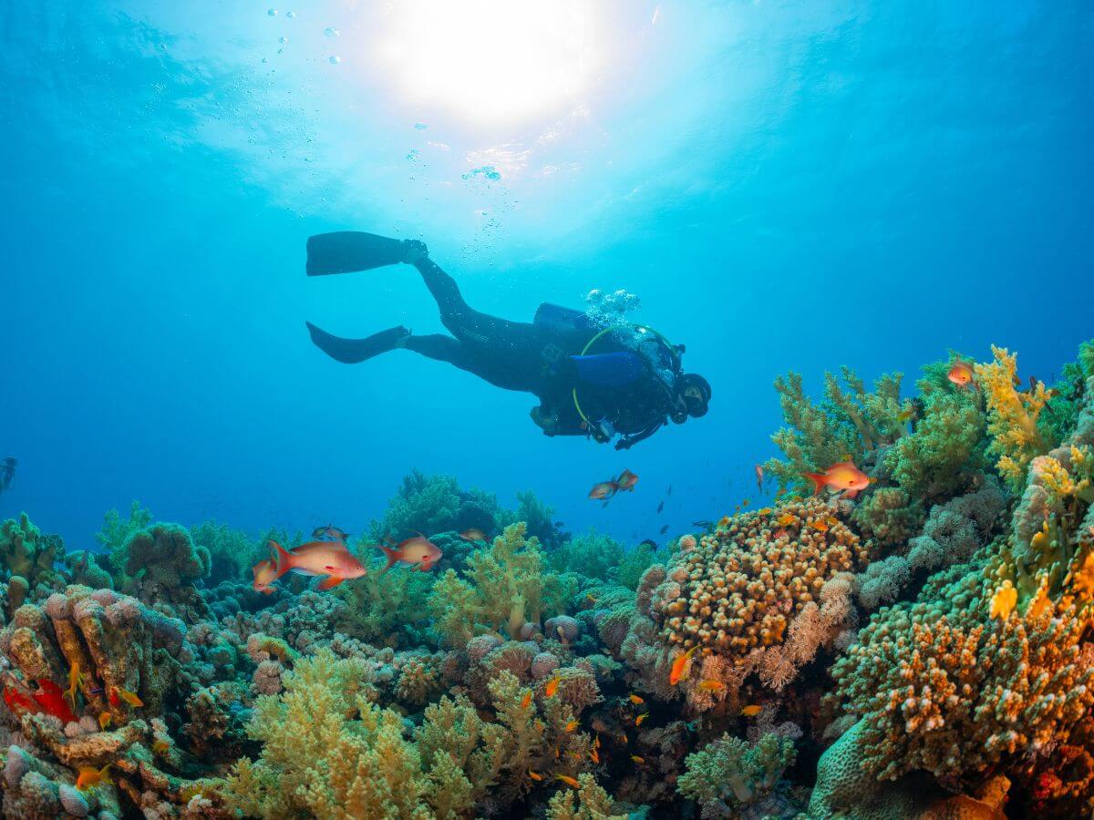 persona practicando deportes acuáticos