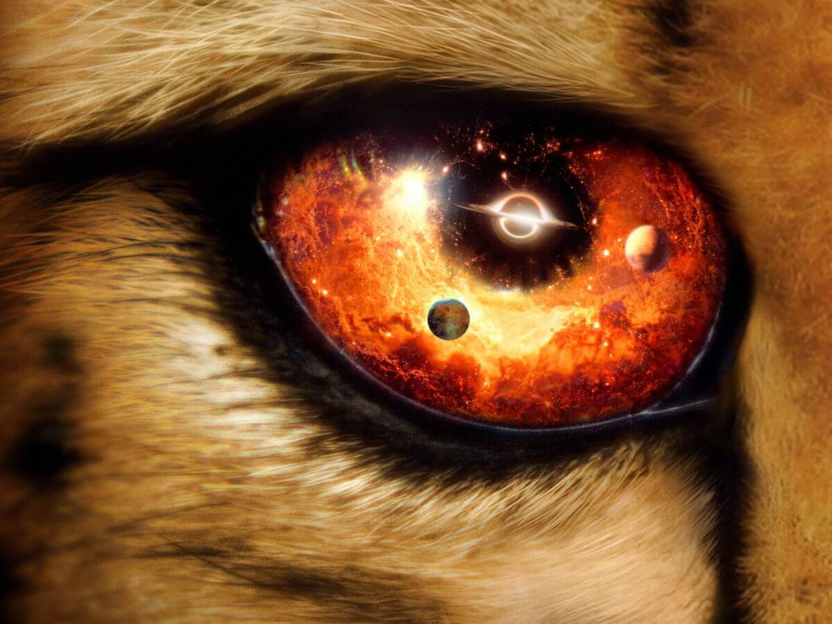 pantalla de Netflix con documentales