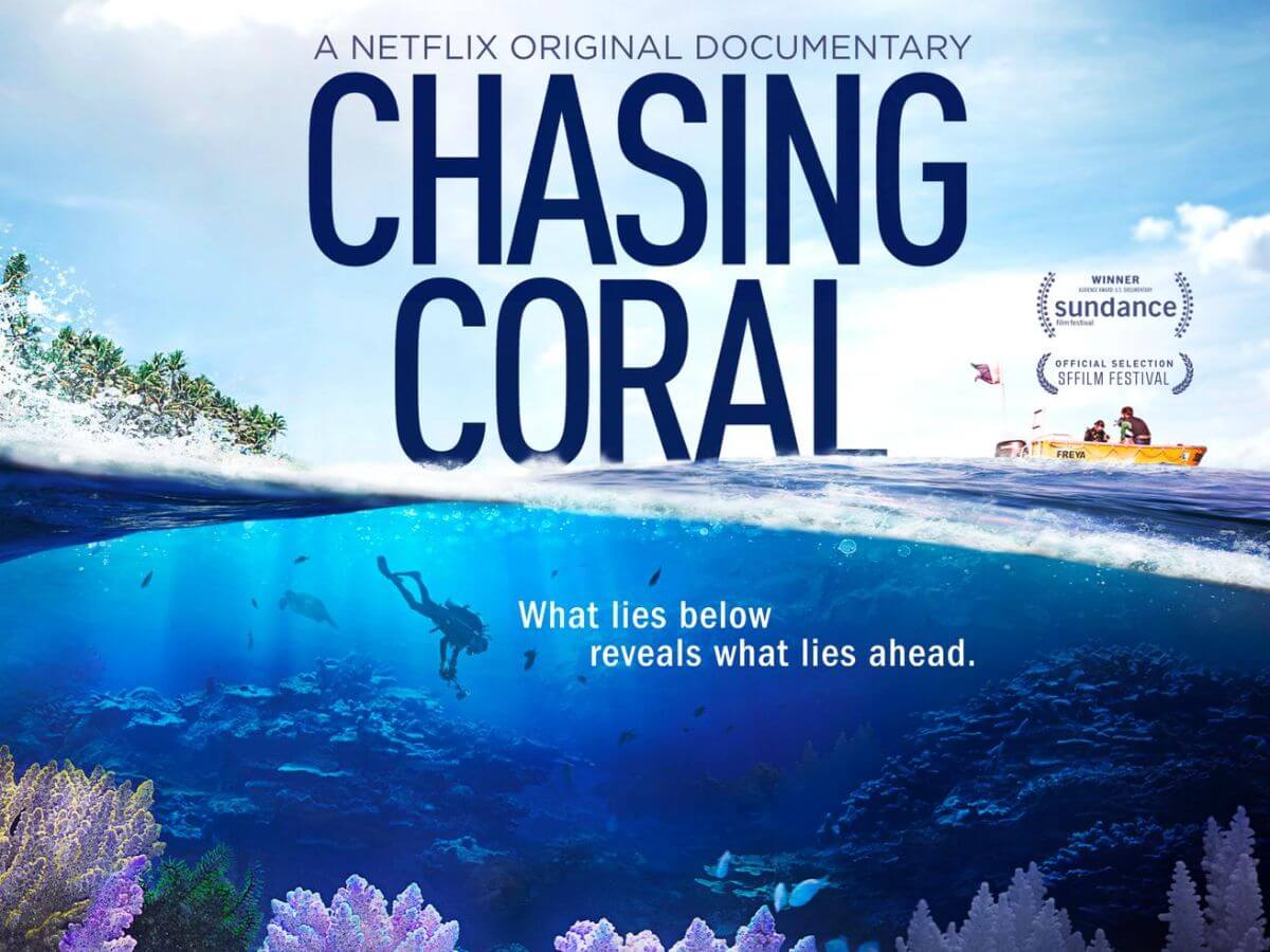 documentales en Netflix