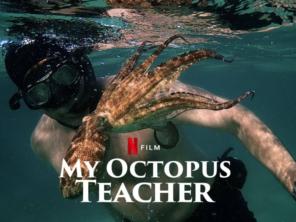 documentales en Netflix