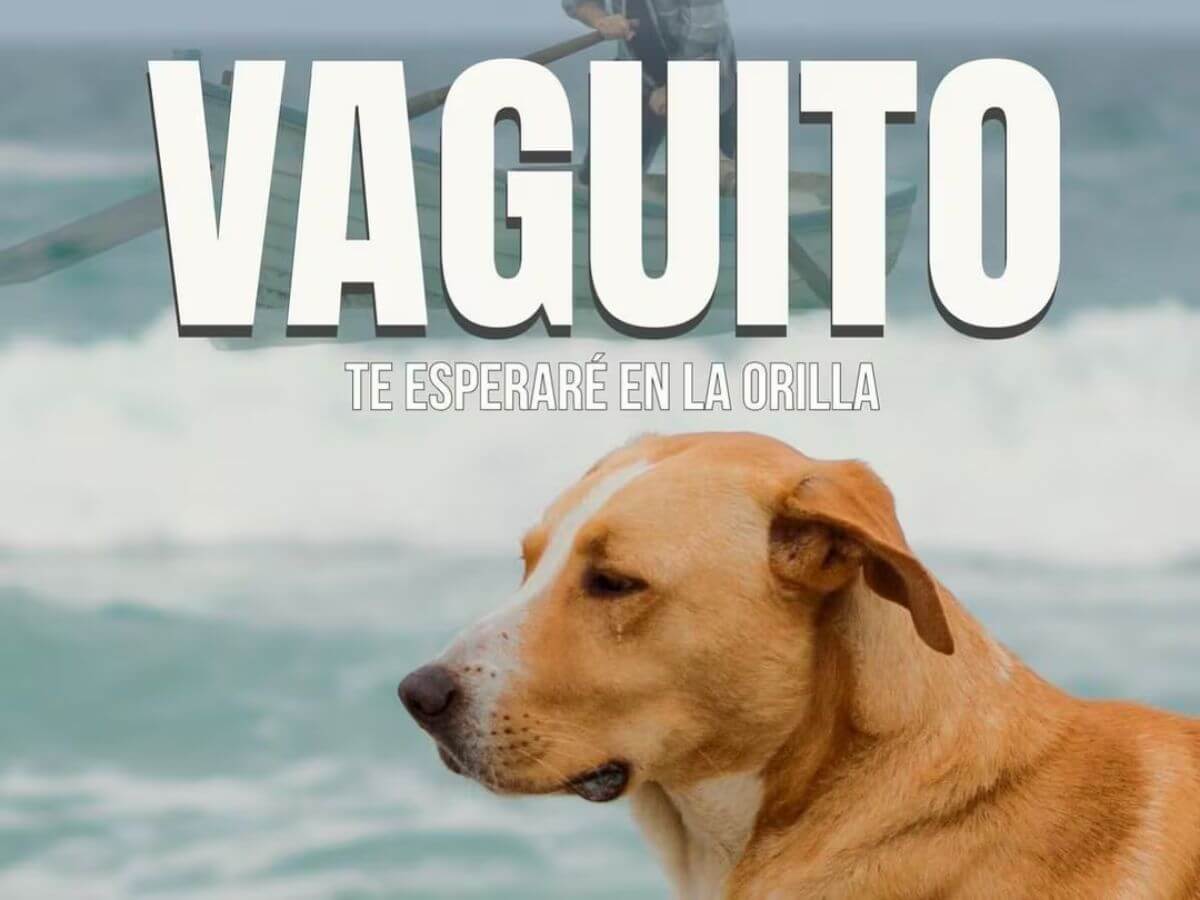 películas peruanas más taquilleras